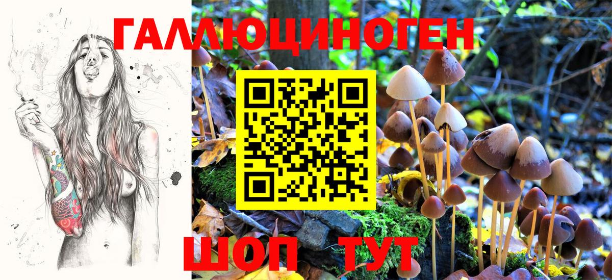 Псилоцибиновые грибы Psilocybe  Вход с VPN  Лыткарино  Псилоцибиновые грибы Psilocybe 